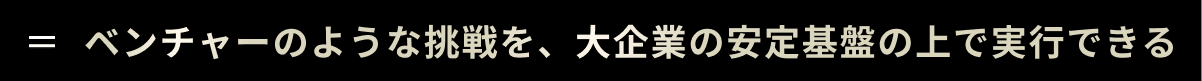 ベンチャーのような挑戦を、大企業の安定基盤の上で実行できる